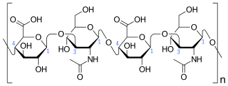 HA Molecule Diagram